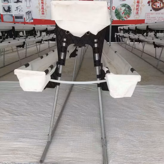 Telaio verticale prefabbricato di alta qualità a connessione rapida per serra