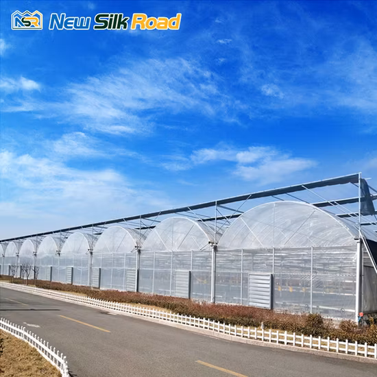 Telaio in acciaio per serra ad alto tunnel